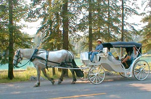 Enjoy the alpine scenery of Banff, Canada and the Canadian Rockies from a horse-drawn carriage.