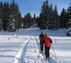 Cross Country Skiing in Banff