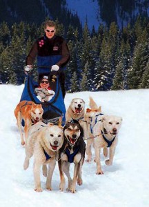 Dog sledding with Banff Travel Unlimted in the Canadian Rockies