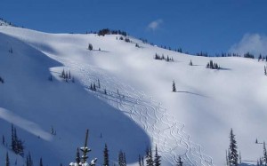 Take Yamnuska's avalance training course for safety in the Canadian Rockies backcountry.