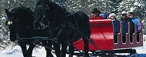 Take a romantic horse-drawn sleigh ride in Banff National Park, inside the Canadian Rockies.