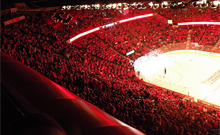 Join the C of Red! Support the Calgary Flames!