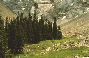 Cascade Amphitheatre at Mount Norquay, Banff National Park, Canadian Rockies.