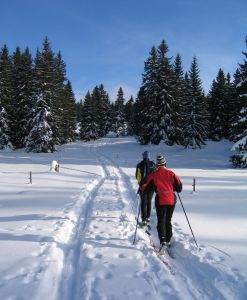 Find Olympic-class cross country skiing in Banff National Park in the Canadian Rockies.