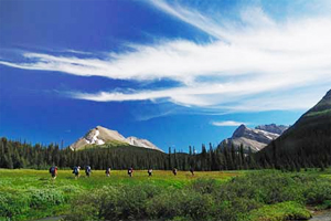 Private guided tour: a great way to have a unique Canadian Rockies experience.